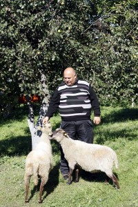 Klebonas Eimutis Marcinkevičius su avimis - „žoliapjovėmis“ klebonijos teritorijoje